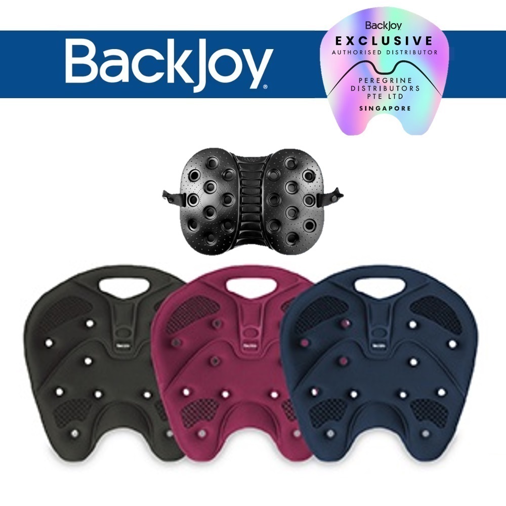 BackJoy Posture Care Combo SitSmart Core Traction Lumbar Support UP 191.80 Shopee Singapore