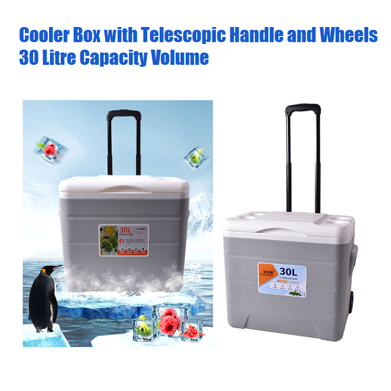 Buy cooler box wheel At Sale Prices Online - April 2024