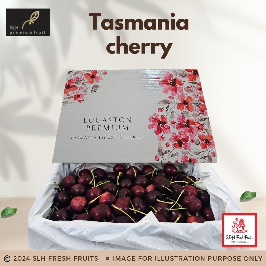 SLH Tasmanian Premium Cherries 樱桃 Premium Selection Carton Sale(2kg) Shopee Singapore
