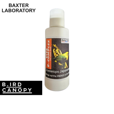Baxter Laboratory Vita B Complex Vitamins and supplements 70ml By Bird ...