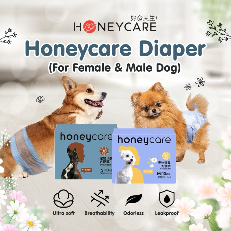 Honeycare Female & Male Dog Diaper (10pcs/pack) Shopee Singapore