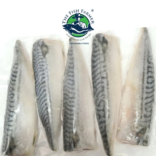 [The Fish Farmer] Frozen Norwegian Mackerel Fillet Saba Fish 5pc 700g
