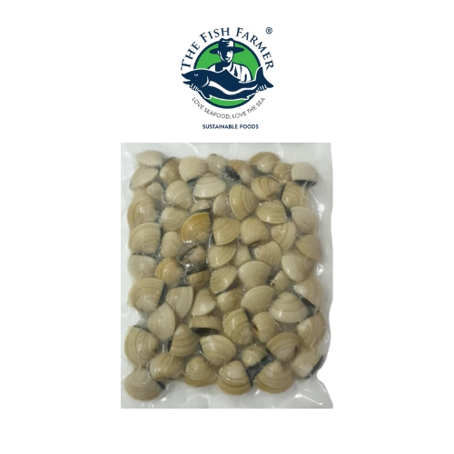 Whole Shell White Clam Lala 1kg Shopee Singapore