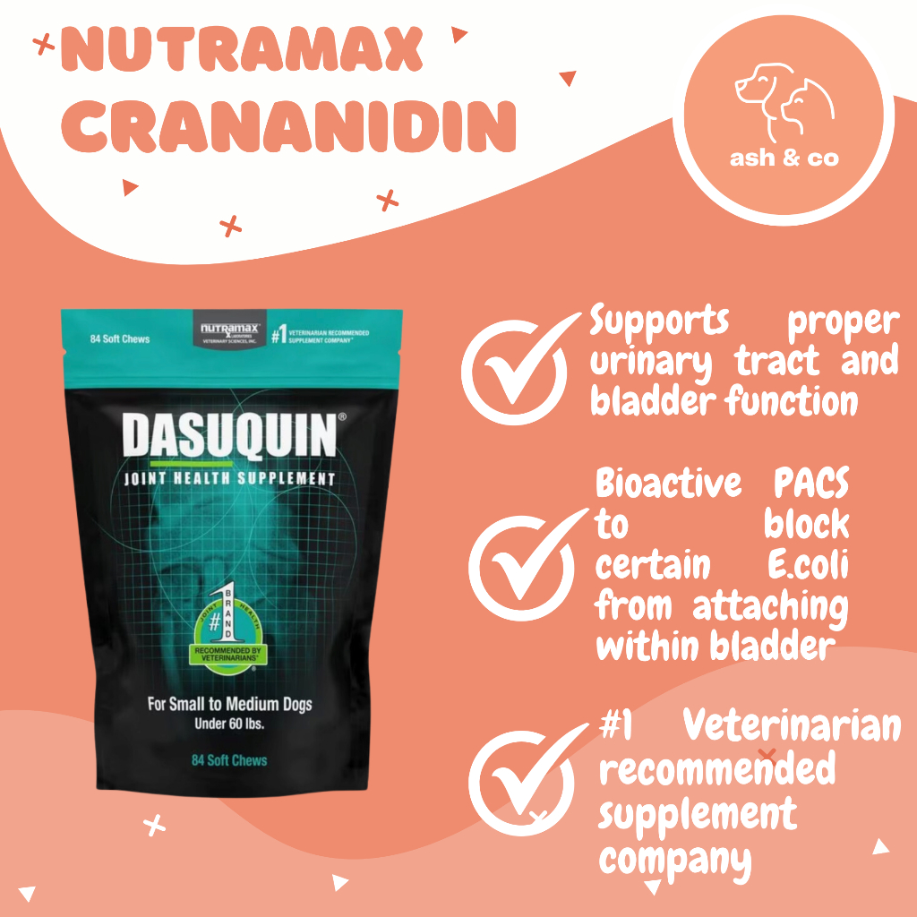 Nutramax Crananidin Cranberry Extract Chewable Tablets Urinary Supplement for Dogs Shopee Singapore