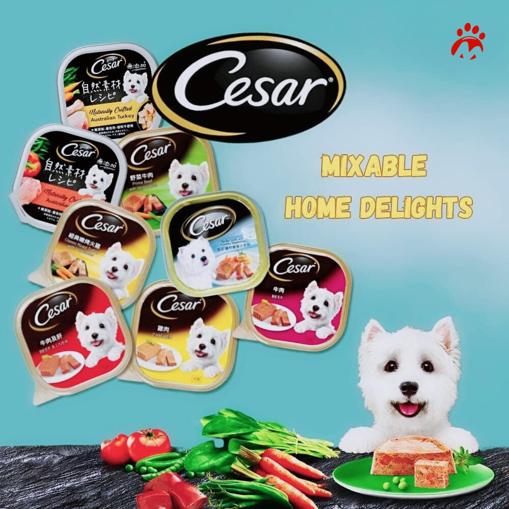 Cesar Dog Wet Food Mixable Flavours 24 Packs Shopee Singapore