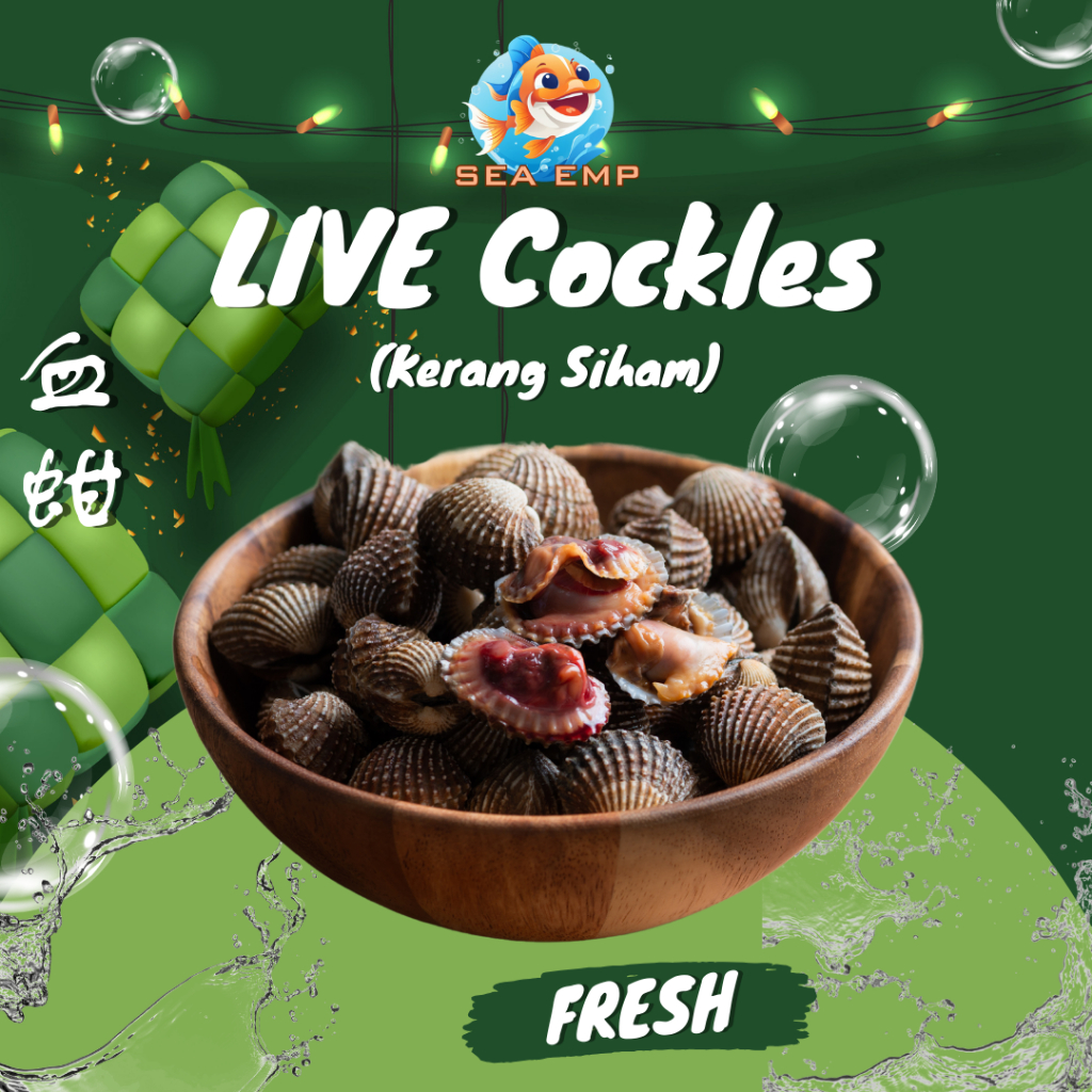 [SEA EMP] LIVE Cockles Lala Choot Choot Gong Gong Kerang Siham Sea-Hum ...