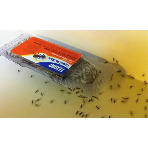 TERRO T300 Liquid Ant Baits - 6 Pack/ Terro Spider & Insect Trap