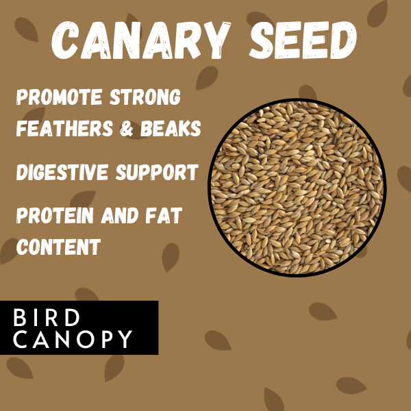 Bird Canopy Original Canary Seeds Birds Seed Mix Parrot Food 850G By ...