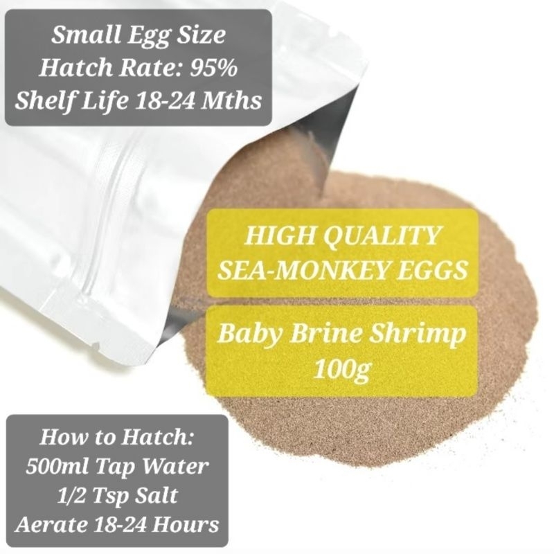 {SG READY STOCK} ARTEMIA SEA MONKEY BRINE SHRIMP (BBS) EGGS 100G ...