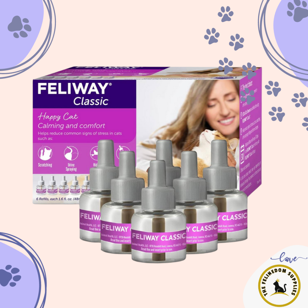 Feliway refill 6 pack best sale