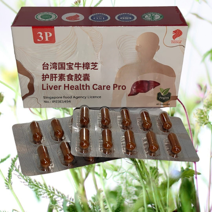 Antrodia Cinnamomea ( Niu Zhang Zhi ) | Shopee Singapore