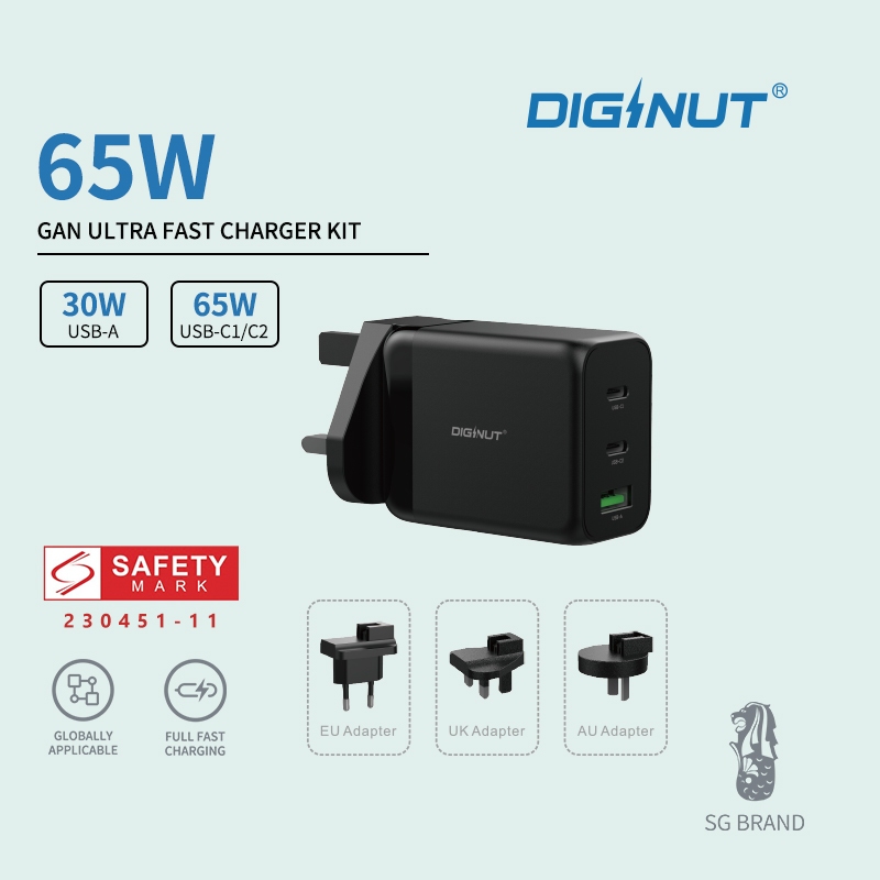 Diginut PD-060PTY 65W GaN Power Plug (Black) - Compact Power Plug for ...
