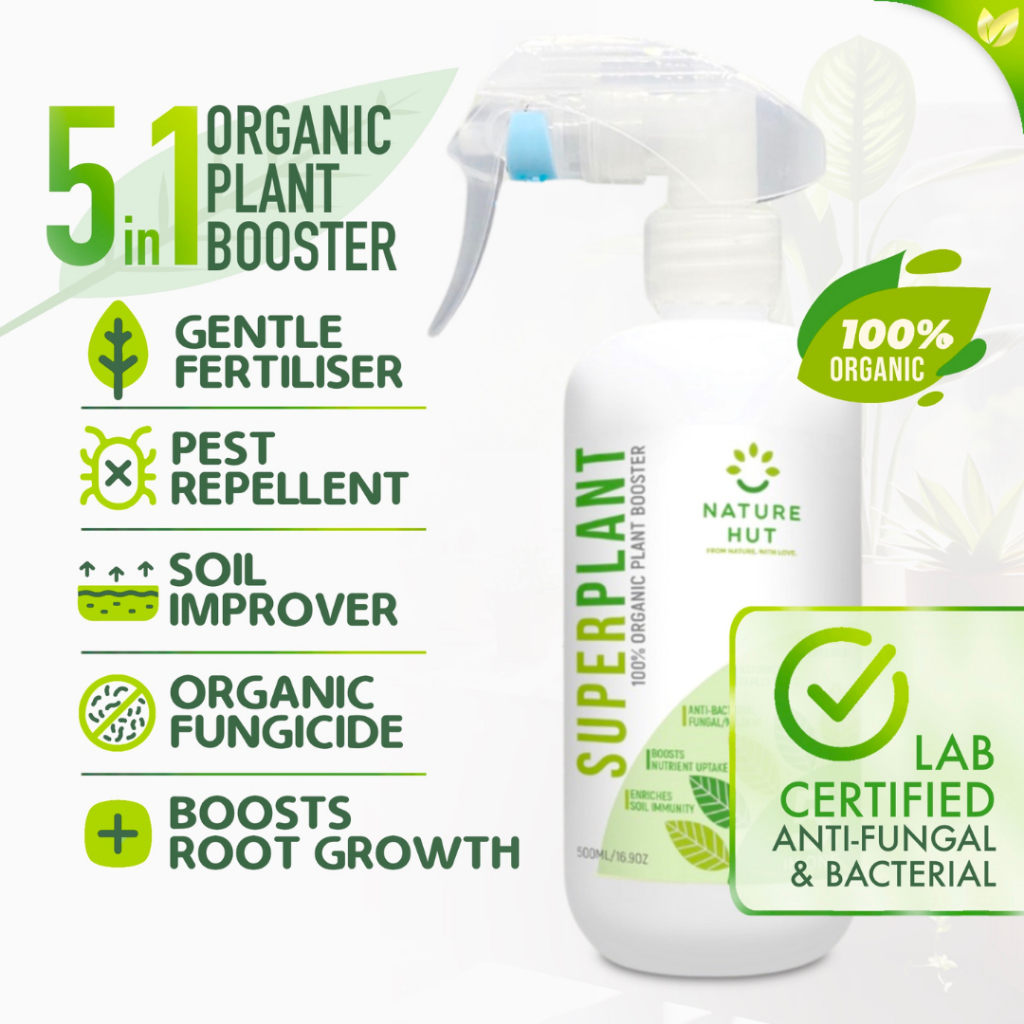 Houseplant Soil Fungicide: Protect Your Green Friends from Root Rot