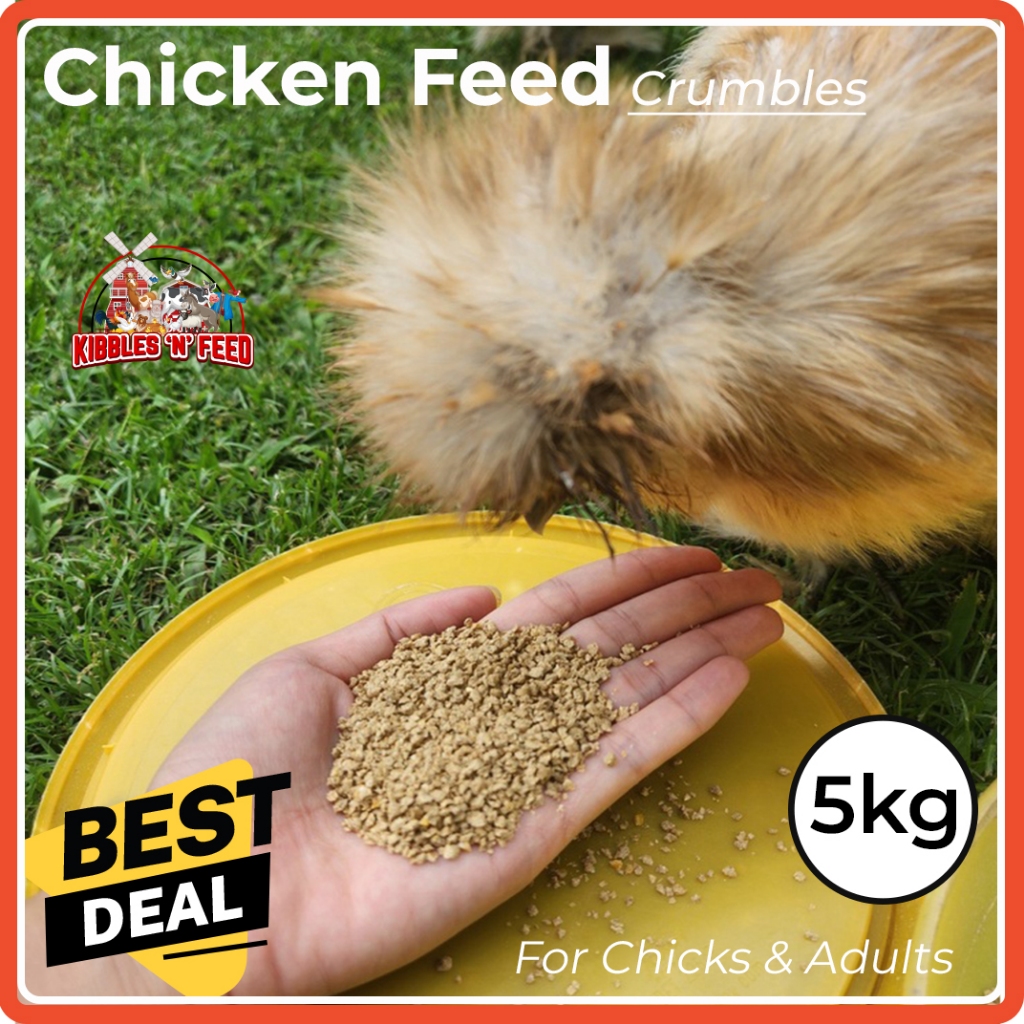 🇸🇬[LOCAL SELLER]🇸🇬 5kg Quail Feed Chicken Feed Bird Feed Crumbles Fine ...