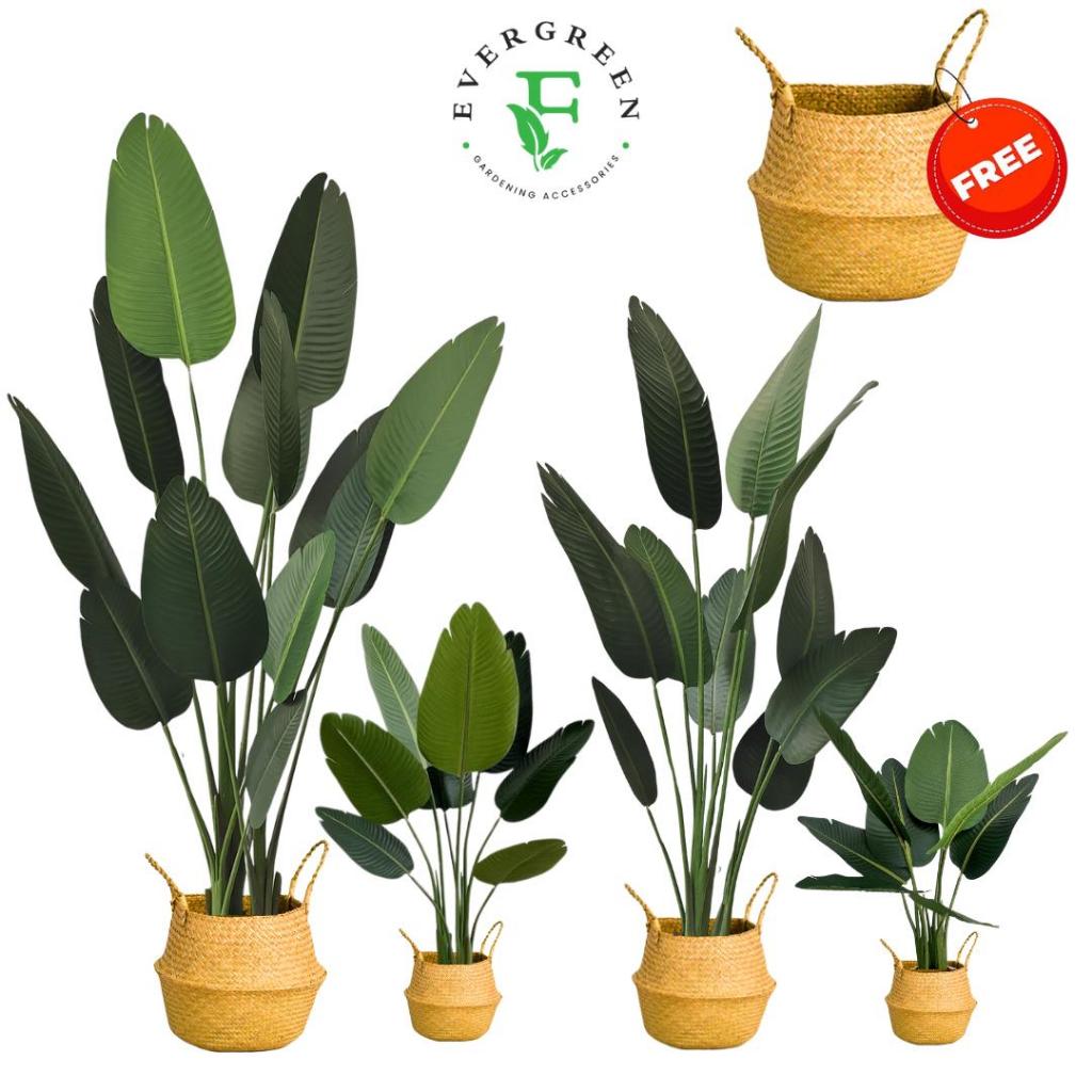 【SG Evergreen】Artificial Plant Fake Plants Artificial Travelers Palm
