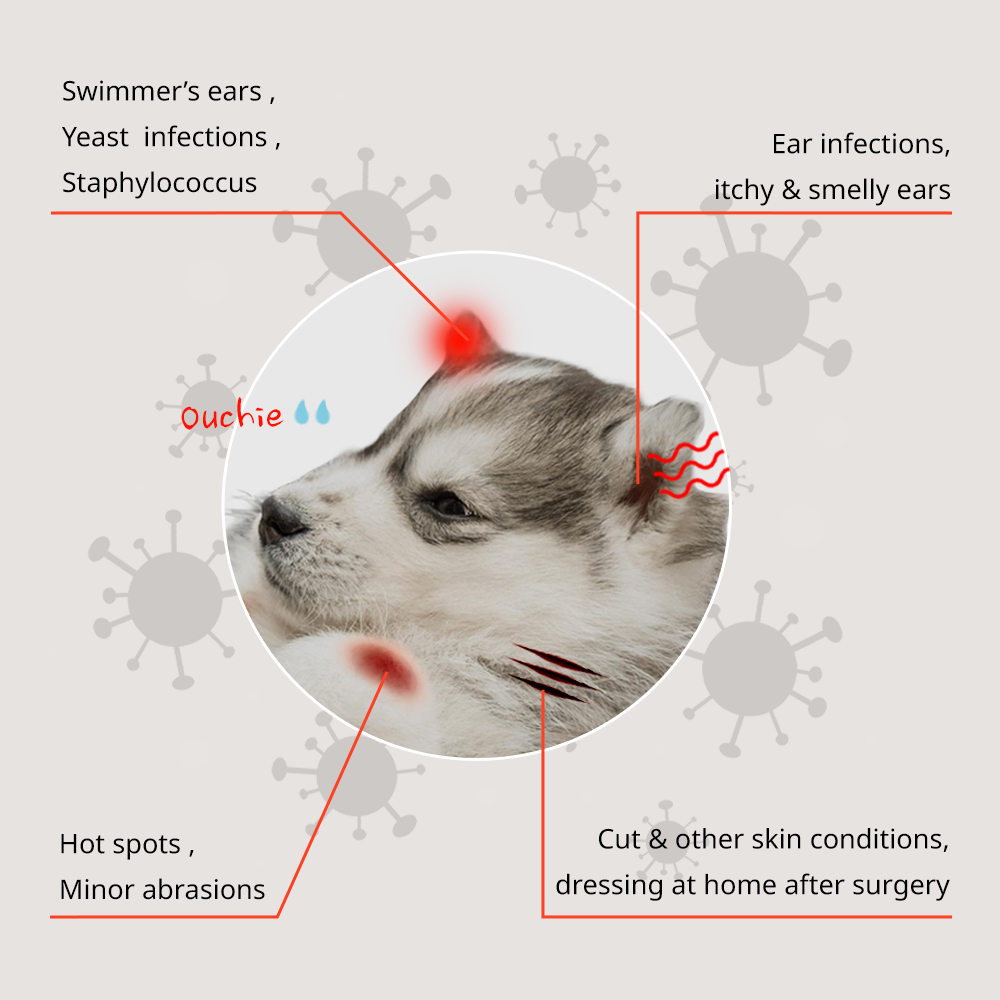 PoviGel Povidone-Iodine 3% Hydrogel Solution for Dogs and Cats to Treat ...