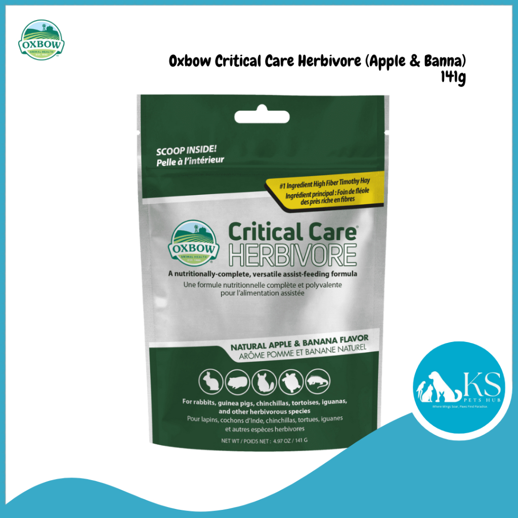 Oxbow critical care guinea pig online