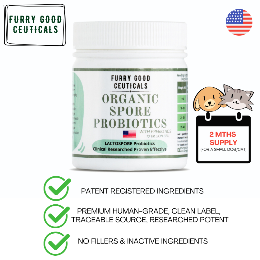 Organic probiotics for dogs best sale