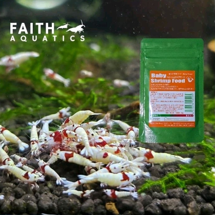 Ebita Breed Quatro II Freshwater Crystal Bee & Cherry Shrimp Food - 50g Tablet, Made In Japan