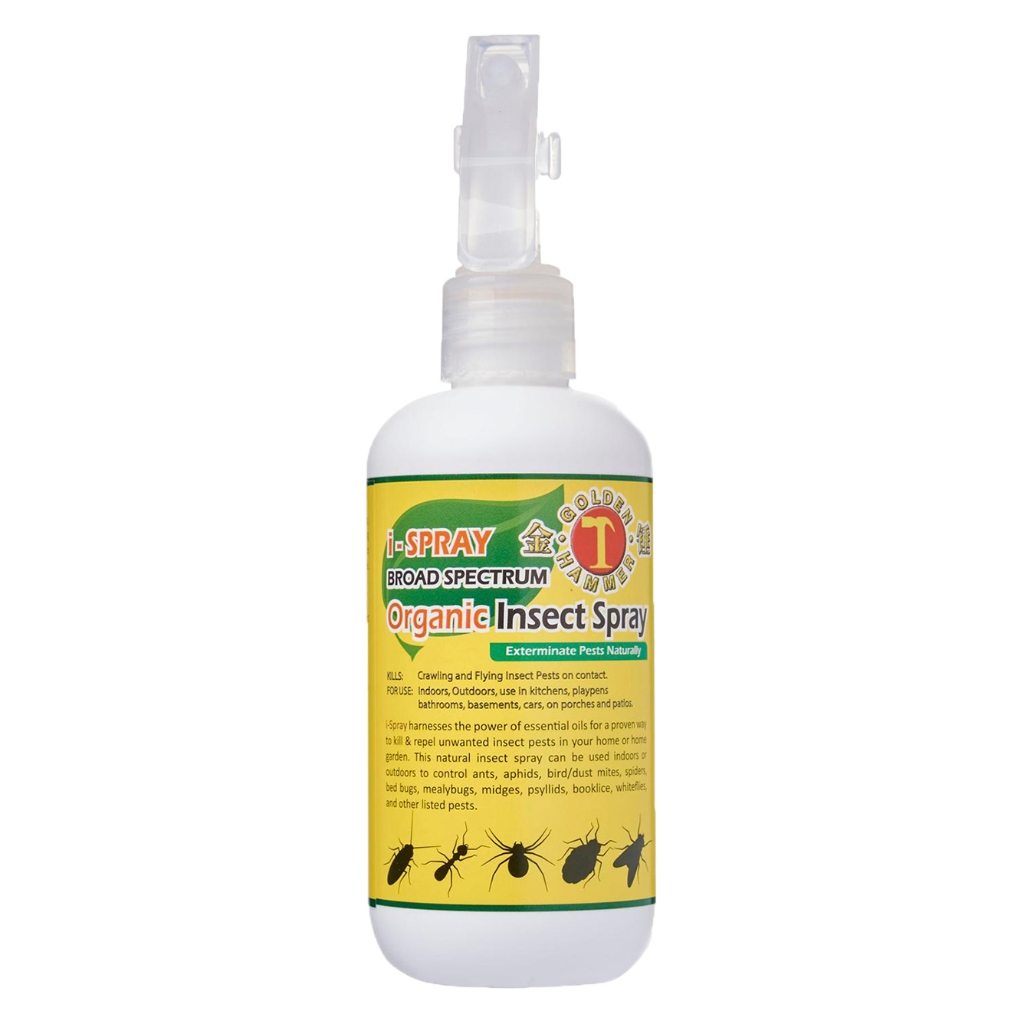 Golden Hammer i-Spray Organic Insect Spray 250ML (Kill & Repel Booklice ...