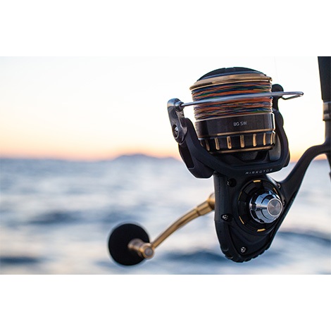 ダイワ 23BG SW 4000D-CXH Amazon | ダイワ(DAIWA) スピニングリール 23BG SW 4000D-CXH | DAIWA