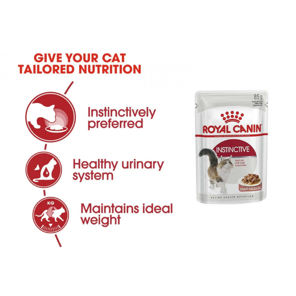 [WEEKLY RESTOCK] Royal Canin Wet Food For Cats Gravy 85g Kitten Hair ...