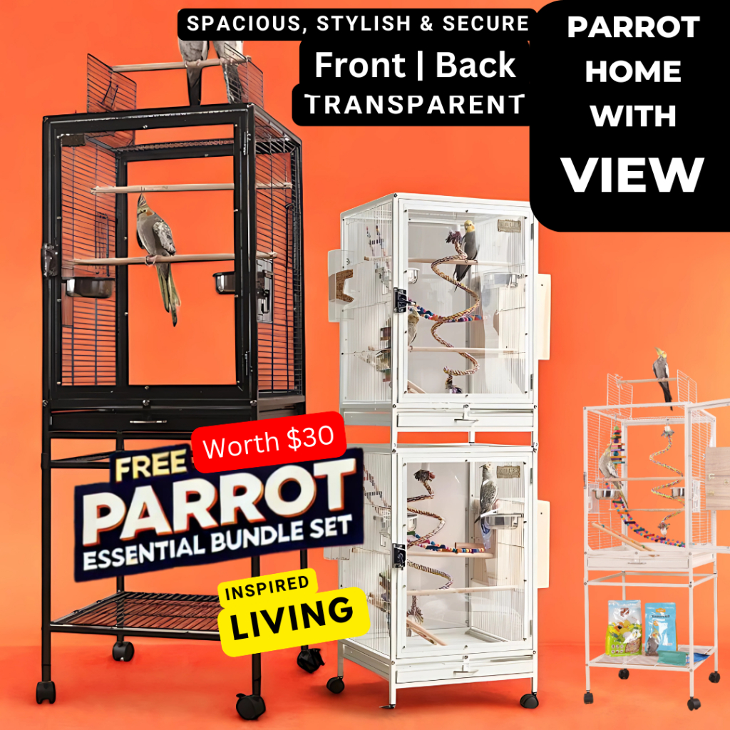 Bird Cage with Clear Front & Back View Large Door Access | Side ... - Mini Bars For Parrot Activity