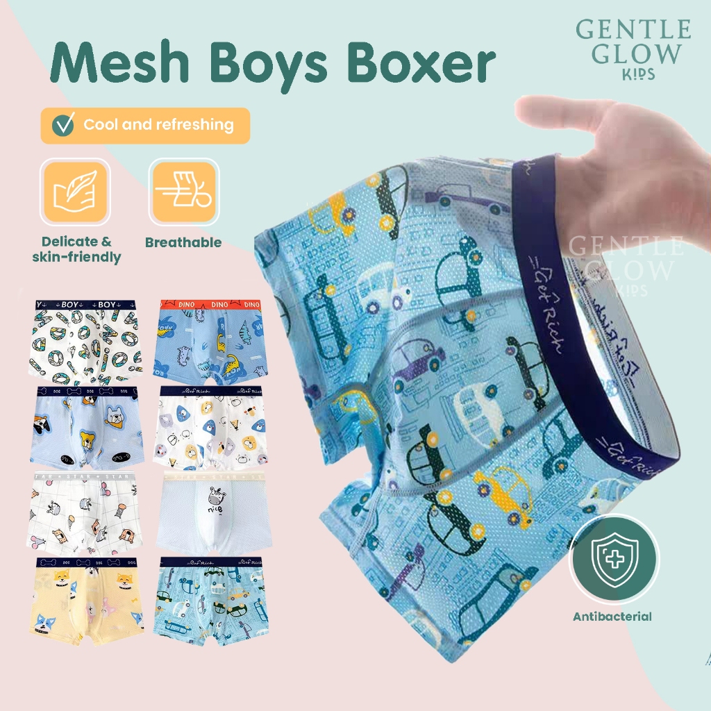 SG Seller - Boys Underwear Boy brief boxer Mesh Cooling Underwear ...