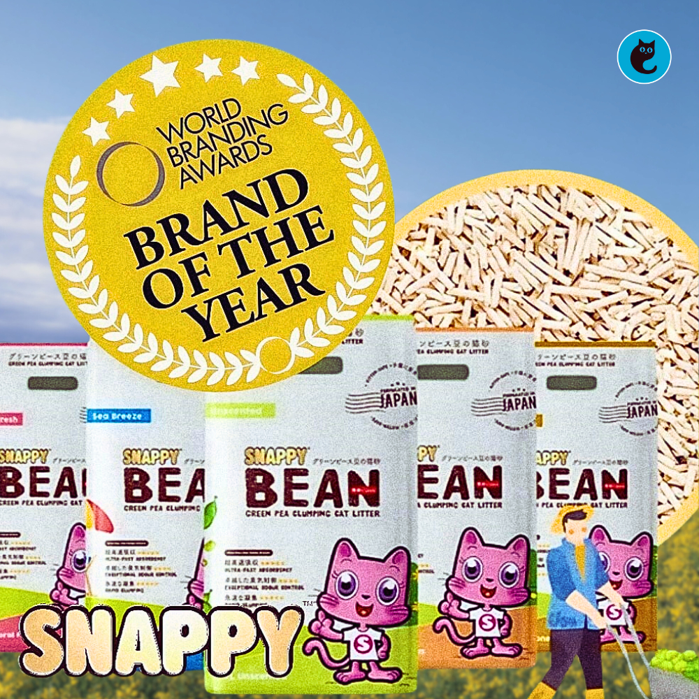 Snappy Bean Green Pea Cat Litter 7L (2 cartons/12 packs) | Shopee Singapore