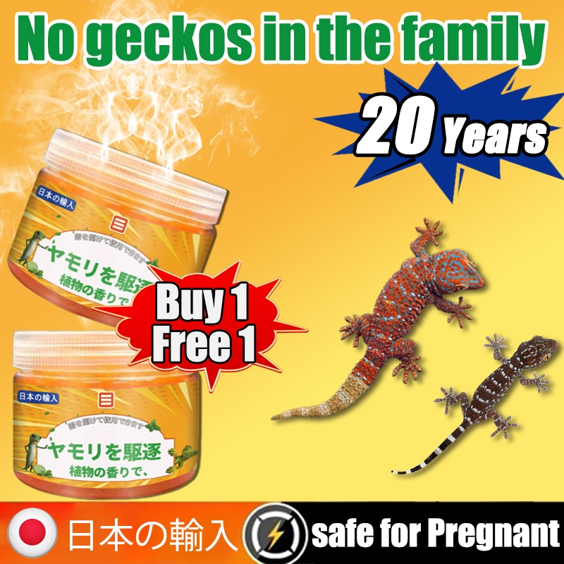 Buy 1 free 1 SAN Lizard repellent Anti lizard Gecko repellent Lizard ...