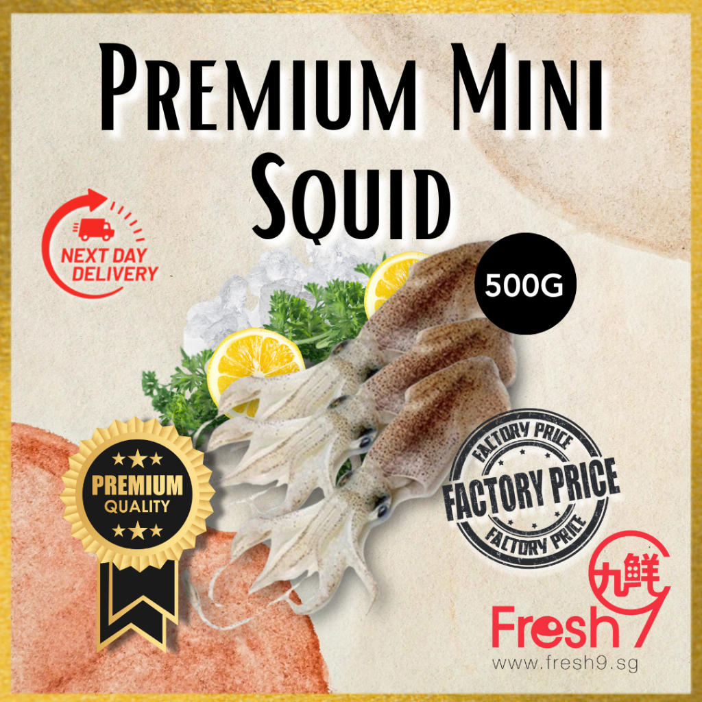 [Fresh9] Premium Mini Squid (500g/pkt) Seafood Malaysia | 迷你苏东仔 ...