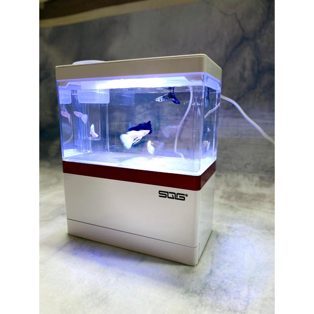 TABLE TOP FISH TANK RECTANGULAR SHAPED With Pump & Filter wool (18*9.5 ...