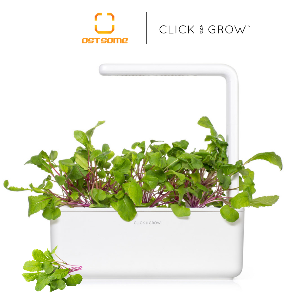 Click And Grow 3 Packs Plant Pods (Leaf Radish) | Shopee Singapore