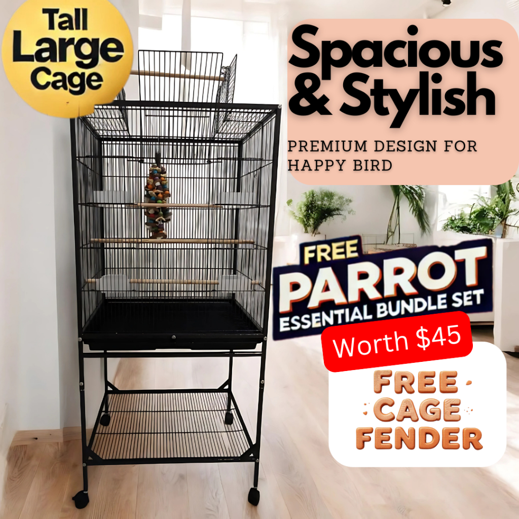 Photo inspiration: Visual Reference: Premium Wrought Iron Bird Cage 4 Variants Mid Size Tall