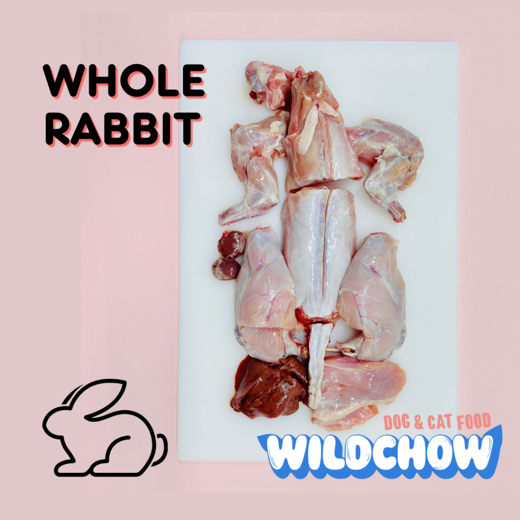 Headless Whole Rabbit WildChow Fresh Food for Dogs and Cats