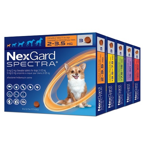 Nexgard Spectra Anti Flea Tick Tapeworm min 2 box Shopee Singapore