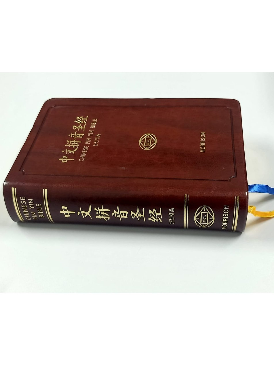 中文拼音圣经》Chinese Pin Yin Bible | Shopee Singapore 中文拼音圣经》Chinese Pin Yin Bible | Shopee Singapore