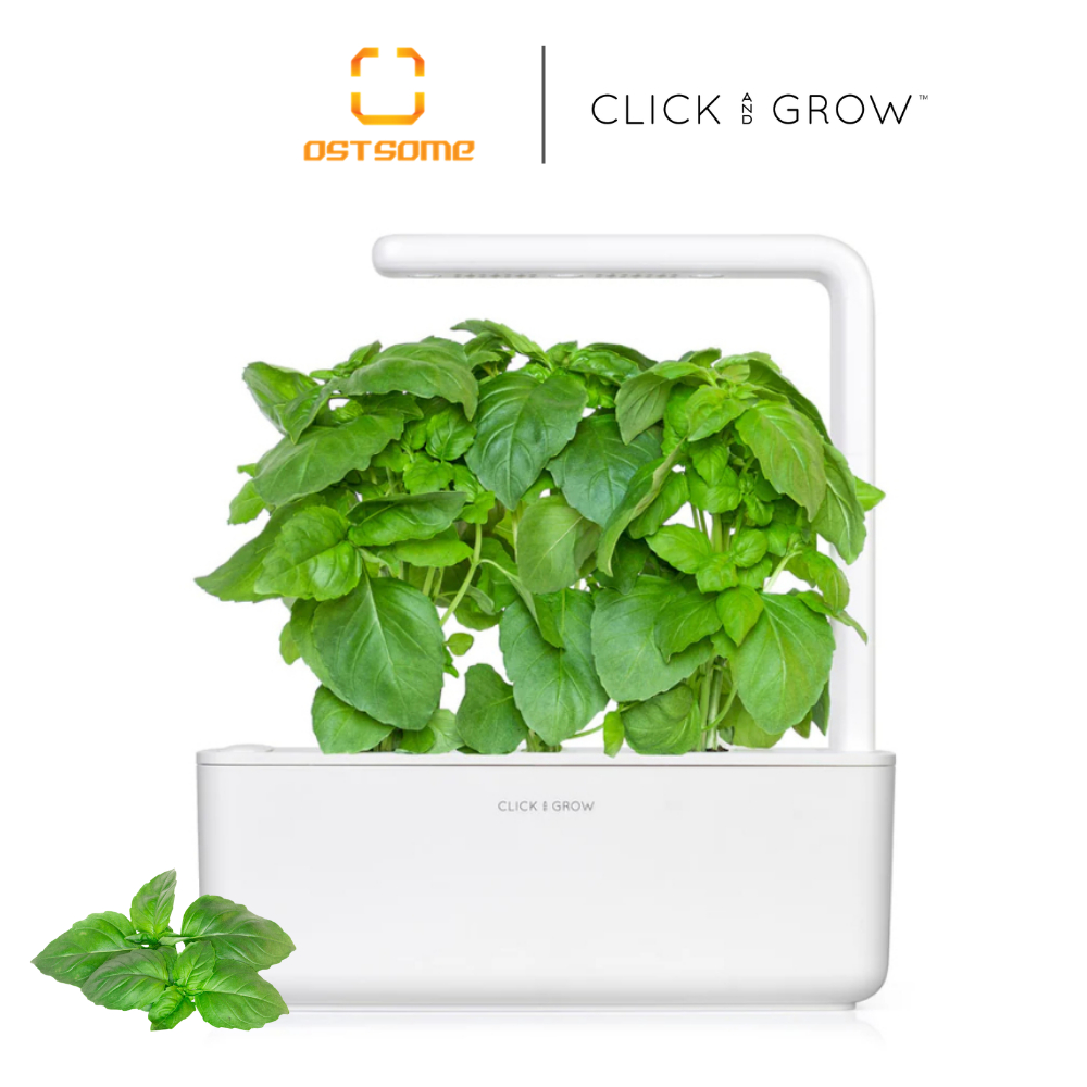 Click And Grow 3 Packs Plant Pods (Marseille Basil) | Shopee Singapore