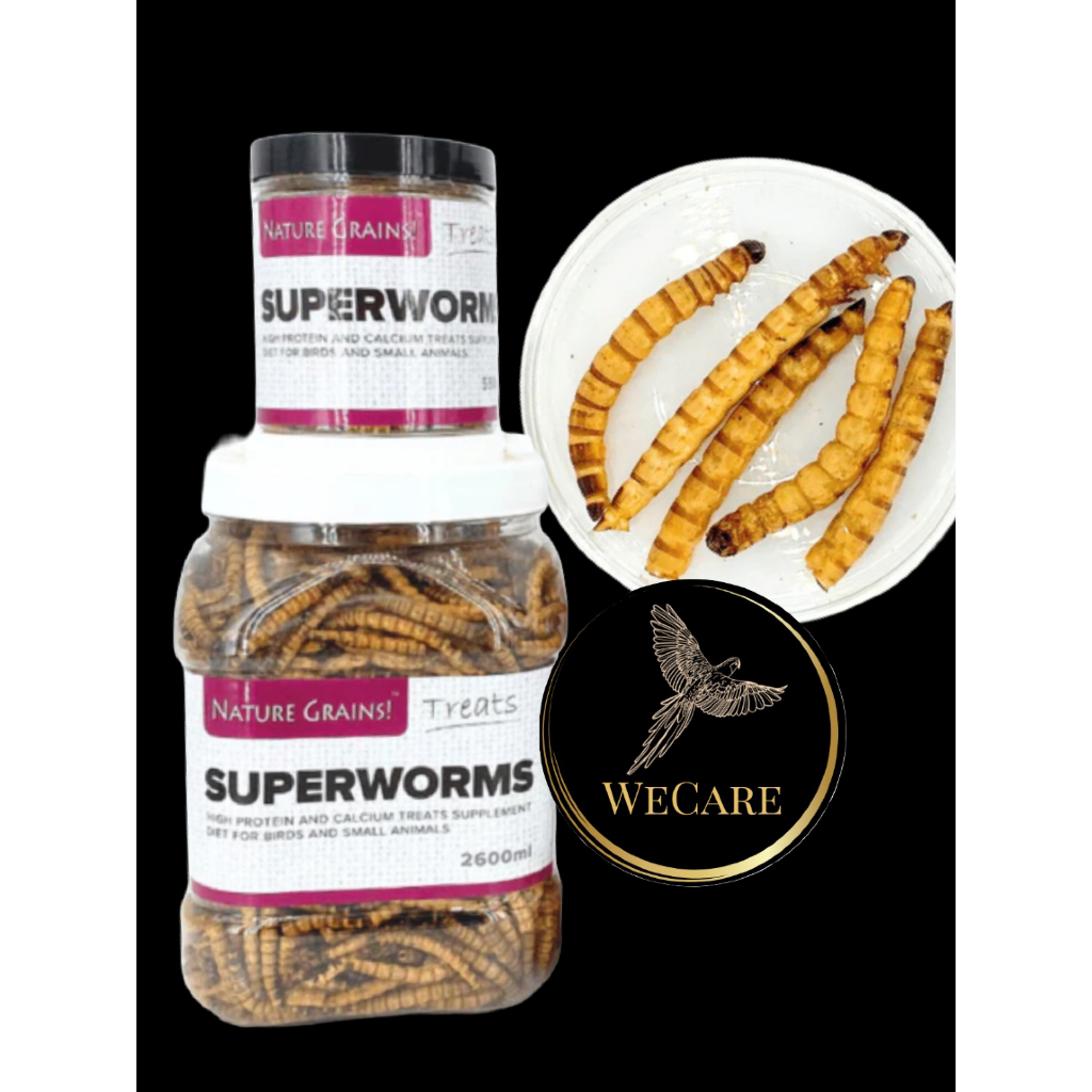 NATURE GRAINS Freezed-Dried Superworms for fish/bird/chicken and small ...