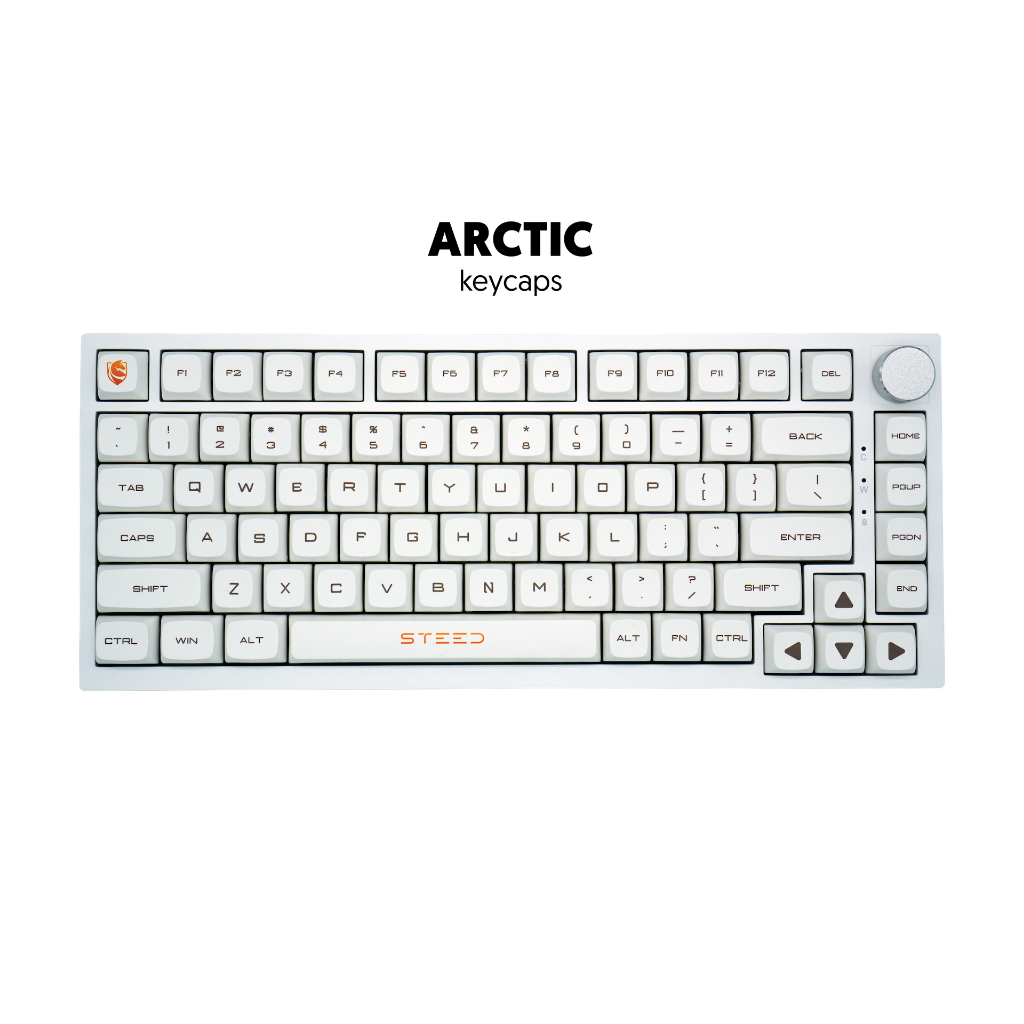 Steed All White SMK82 Custom Mechanical Keyboard + TTC Silent Frozen ...