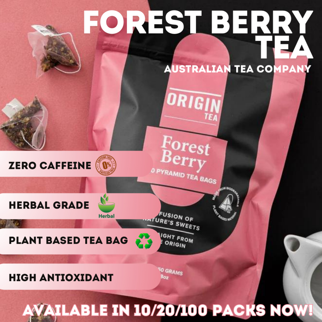 ORIGIN (100pcs) Forest Berry Herbal Infusion Tea Pyramid Tea Bags ...