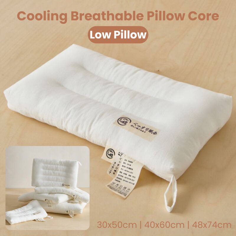 Low Pillow Core Washed Cotton Class A Soft Sleeping Pillow