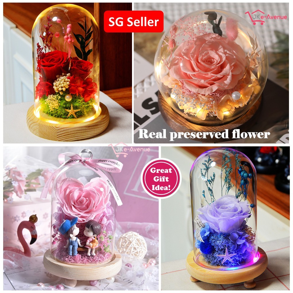 Preserved Rose Carnation Flower in Glass Dome Cover Display Jar with ...