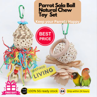 Lovebird toys for sale hotsell