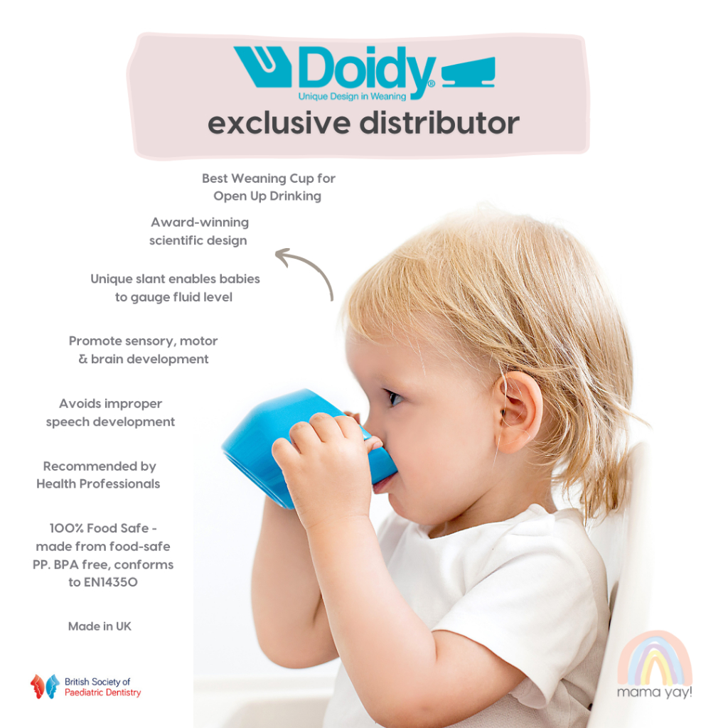 [Exclusive SG Distributor] Doidy Training Cup (Available in 11 colours ...