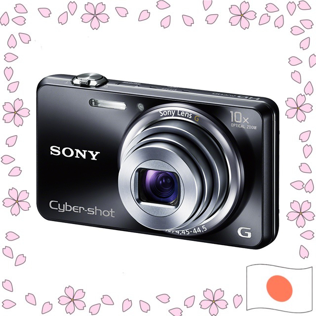 SONY Cyber-shot DSC-WX170 Digital Camera 18.2MP CMOS 10x Optical