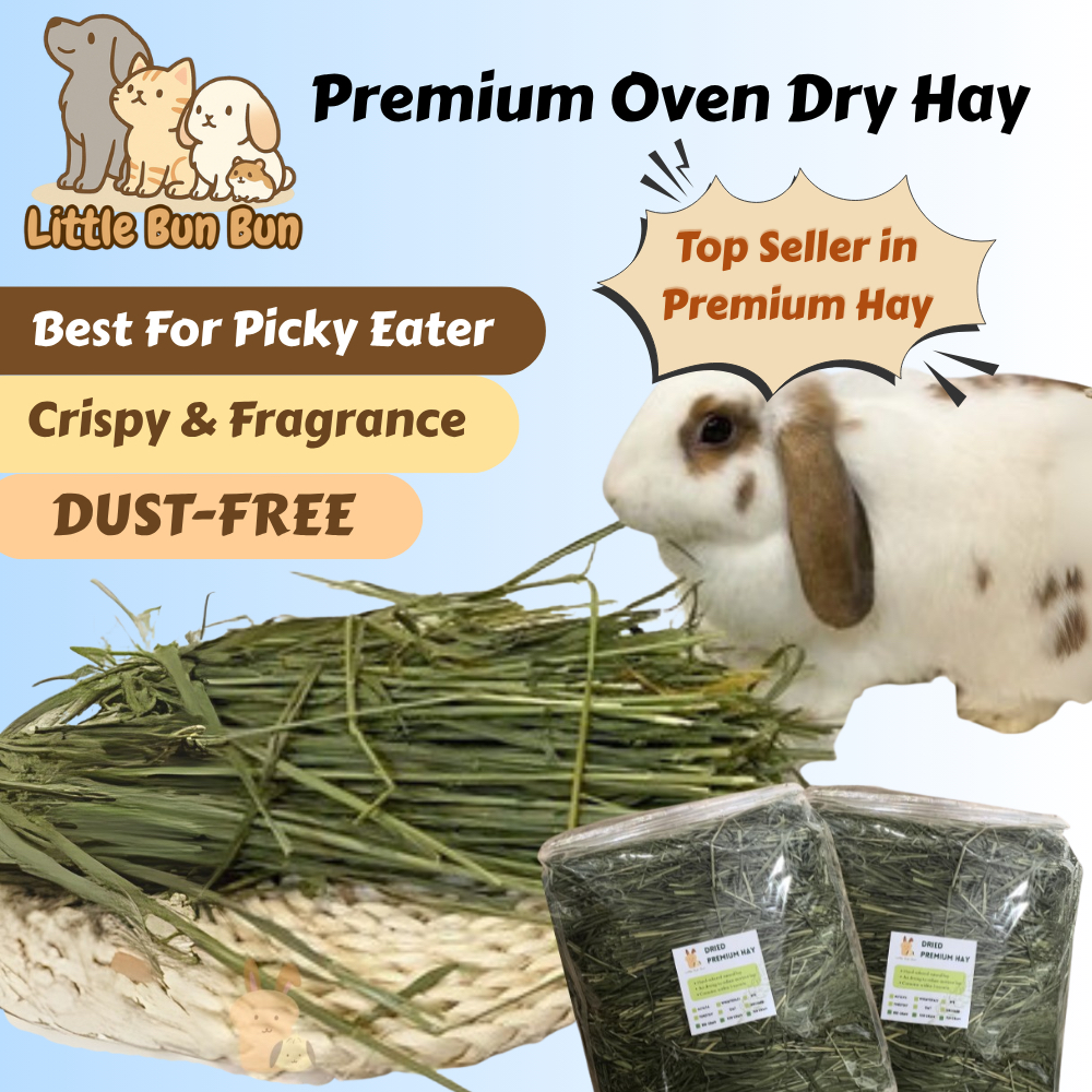 View of SALES-Premium dried Timothy hay/ wheatgrass/orchard/Oat/barley🌾 air dry ...