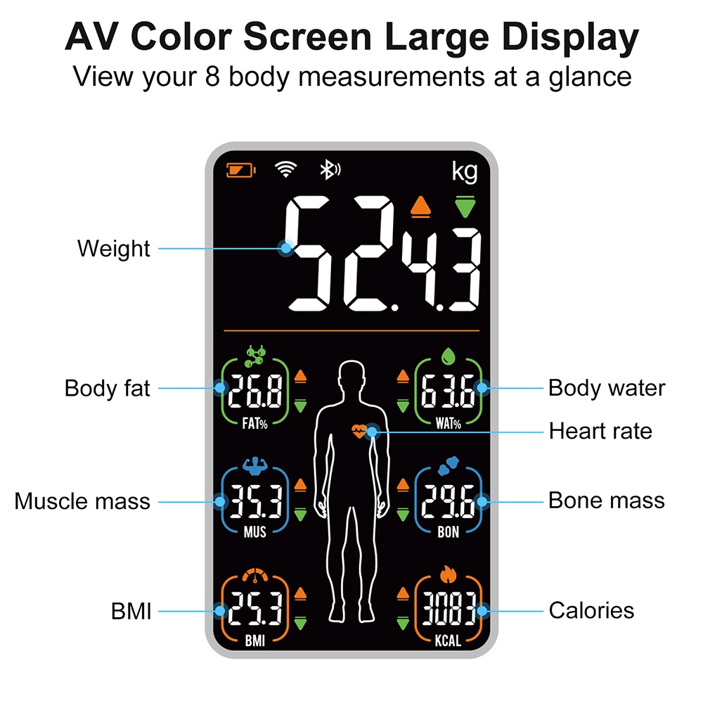 INSMART 17in1 BMI AV Color Screen Large Display Body Fat Weight Scale ...