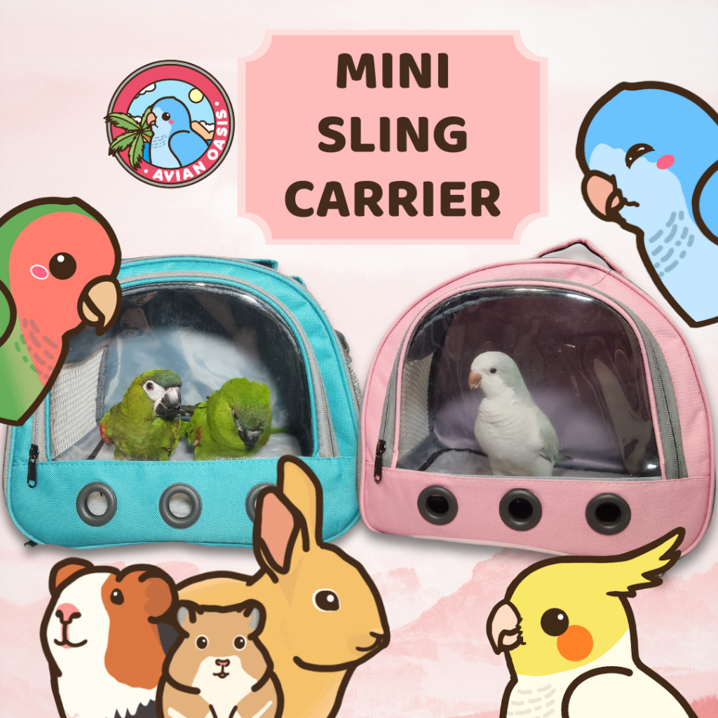 SG Pet Mini Sling Bag Carrierfor Rodents Birds Guinea Pig Shopee Singapore