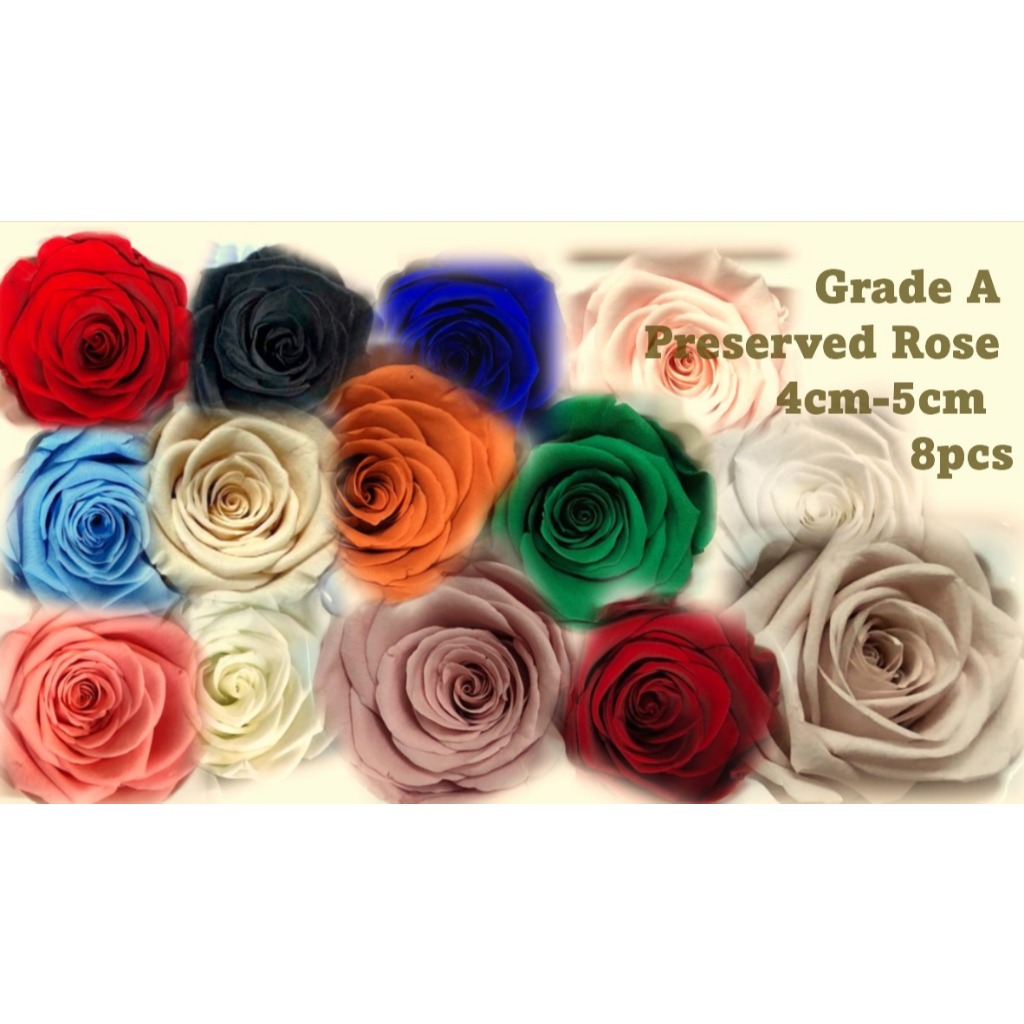 Preserved Flower: Preserved Rose Grade A (8pcs /box) | Shopee Singapore